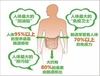 益生元的五大功能，一定要知道！