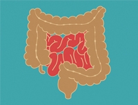 為什么說(shuō)益生菌和益生元能夠生態(tài)清腸排毒
