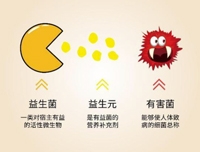 補(bǔ)菌還不夠，得養(yǎng)菌！挑選益生元這4點(diǎn)很關(guān)鍵